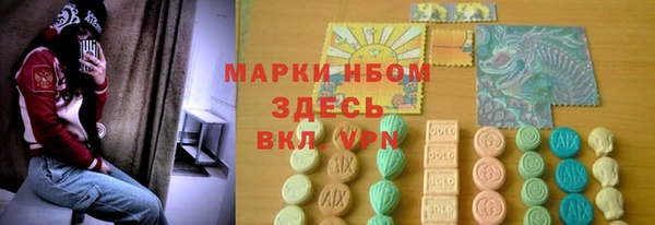дмт Краснослободск