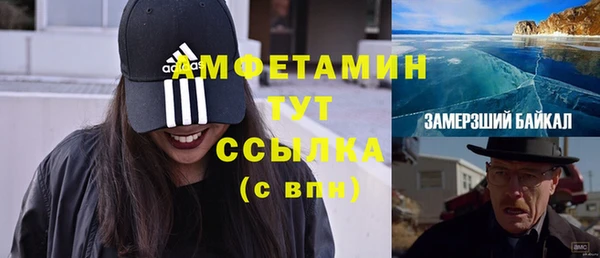 дмт Краснослободск