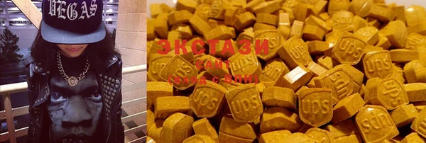дмт Краснослободск