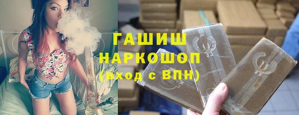 дмт Краснослободск