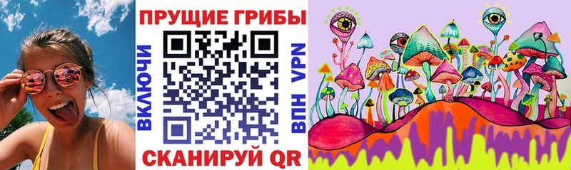Псилоцибиновые грибы мухоморы  Лермонтов 